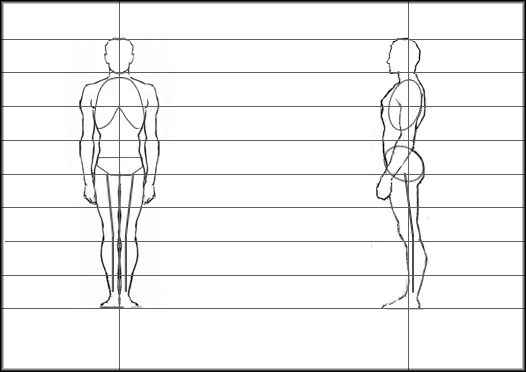 Модули человека. Человек рисунок. Пропорции человеческого тела. Тело человека рисунок. Пропорции человека рисунок.